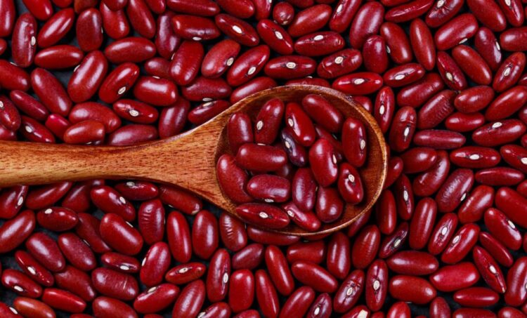 kidney beans 2