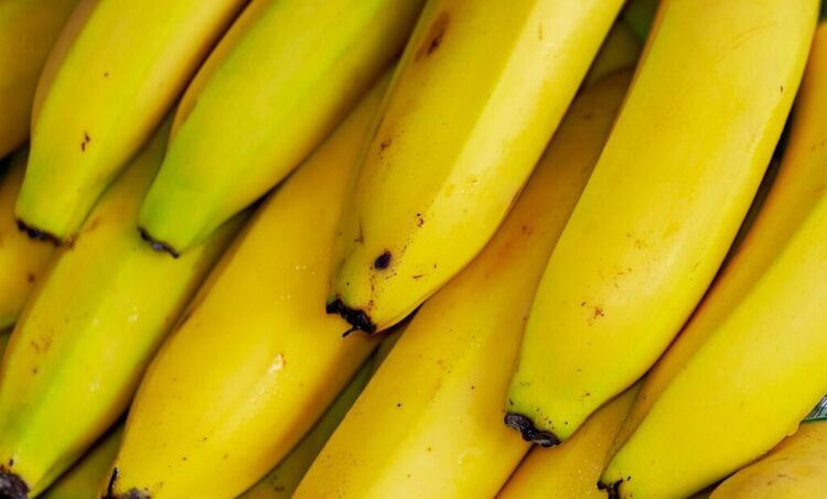 bananas 1