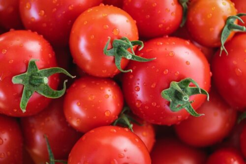 tomatoes 2